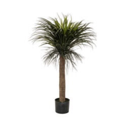 YUCCA ARTIFICIEL TROPICAL