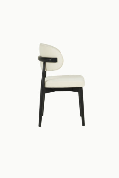 TEDDY VELOURS ANTITACHE BOIS NOIR 4 1